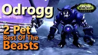 Odrogg Best Of The Beasts Family Familiar Pet Battle World Quest Snail Fight 2 Pet Strategy
