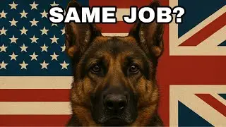 Interview with U.K. K-9 Handler Ben Shaylor