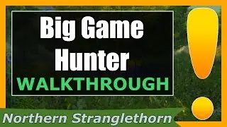 Big Game Hunter | WoW Northern Stranglethorn Quest Guide