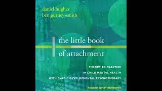 Little Book of Attachment: Theory to Practice in Child Mental Health with Dyadic Developmental