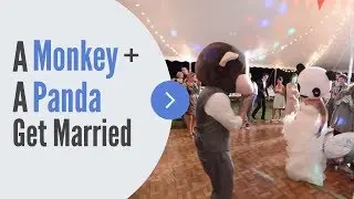 Whimsical DIY Michigan Barn Wedding with Alternative Couple with Panda + Monkey Masks