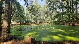 Le lac vert , yakouren