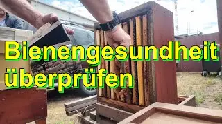 Bienengesundheit &uuml;berpr&uuml;fen #wirmachendas