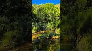 El Molino de la Roperia