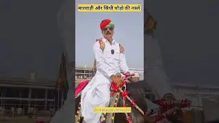 Which horse breed is better Marwari or Sindhi 🐴 #shorts #marwadi #rajasthani #marwari #horses