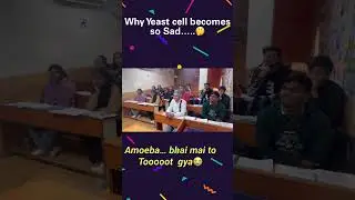 Why yeast and amoeba becomes sad? #watch #video | #ytshorts