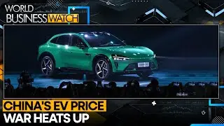 EV Price War Rattles China Auto Market | World Business Watch | WION