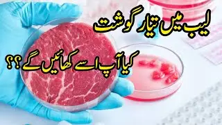 Artificial lab grown meat |would you eat it|artificial meat