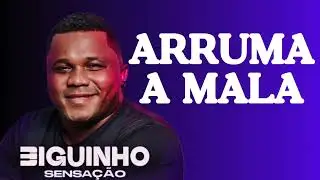 ARRUMA A MALA E VEM MORAR MAIS EU - BIGUINHO SENSA&Ccedil;&Atilde;O 2024