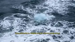 Vulnerability Ep.1 - Eyes to the OCEAN, mind to the LAND