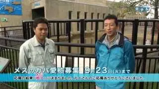 旭山動物園情報「カバの旭子を紹介します」(2014年9月20日放送)