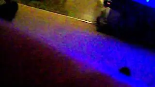 S&ouml;ckchen in Aktion !