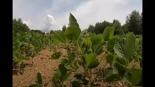 2021 Hunting Season Food Plot Preparation - Part 1