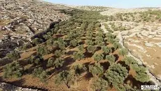 Mukhmas Village فيديو تعريفي باللغة الانجيزية عن قرية مخماس