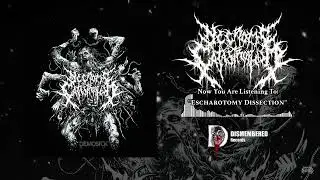 Necrotic Catastrophism - Escharotomy Dissection (2020)