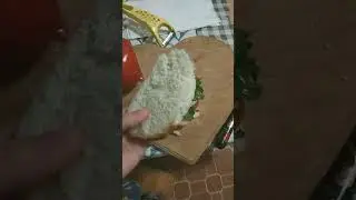9 ноября 2023 г.