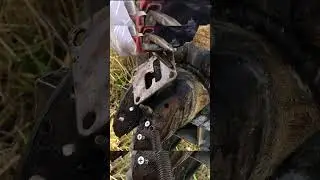 Ep76 -Extreme deep cleaning , Screw it into the cow's hoof