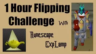 [OSRS] WHO CAN MAKE THE MOST MONEY FLIPPING?? - A 1 hour flipping challenge with RunescapeEXPLamp!!