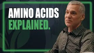 Аминокислоты, сигнальные процессы и почему скорость имеет значение.