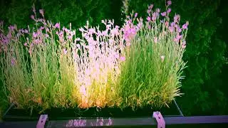 #Relaxing rain sounds, #before #sleep or #painting, #meditation #rain #sounds, 15 minutes
