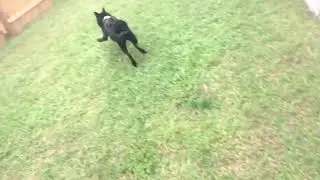 And Action