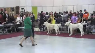 MOV05C