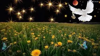 !! Beautiful natural love whatsapp stutas video !! Creativ by dg beats