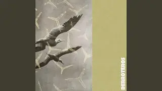 Derroteros
