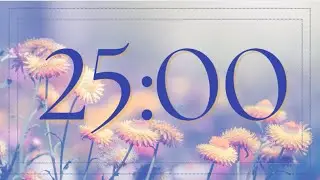 25-Minute Timer: Gorgeous Orange  Daisy Flower Field Countdown