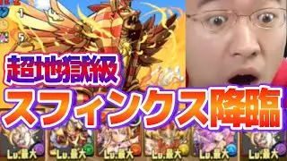 【パズドラ】スフィンクス降臨！超地獄級にベジットで挑む！