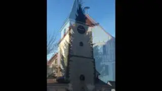 Weihnachtsbaum 2016 in Wiernsheim/Pinache