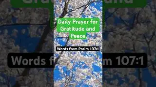 Daily Prayer of Gratitude & Peace | A Short Prayer to Thank God Today #dailyprayer