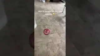 FLY ORB PRO