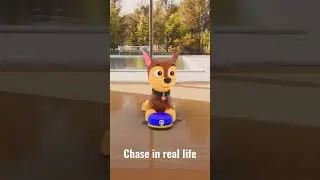 Paw Patrol in real life