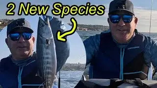Fishing on a Sea-Doo Fish Pro: Two NEW Species Caught in San Diego!