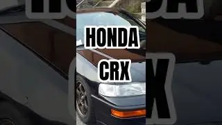 HONDA CRX: PURO NERVIO