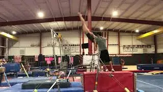 maloney on bars