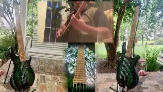 #cortbass #bass #headlessguitar