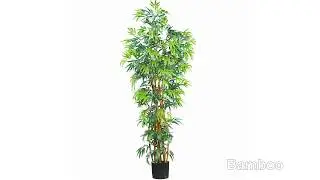 Best Artificial Palm Trees (Indoor & Outdoor)  ★ ★ ★ ★ ★