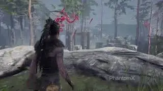 Hellblade senua sacrifice VALRAVN  door 1 puzzle walkthrough