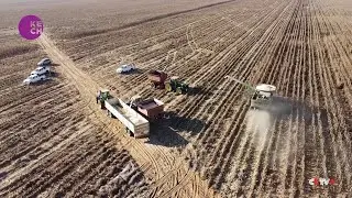 South African Farmers Prepare for Extended El Nino Impact