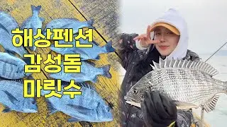 [낚시] 감성돔 마릿수 나오는 해상펜션 /거제근포/fishing