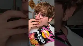 CRAZY Chinese Lays Potato Chip Flavors!