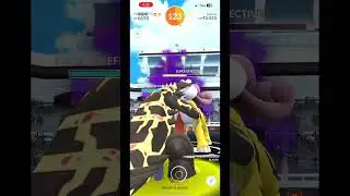 Shadow Raikou Solo, Sunny, Thunder Shock/Thunder, Solo Subdue Glitch, Self Primal Boost