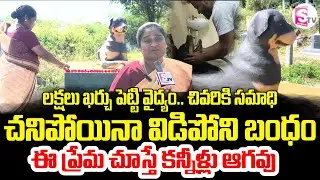 లక్షలు ఖర్చు పెట్టి | Family Builds Memorial for Their Pet Dog | Emotional Story | SumanTV Vali