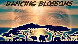 Elea & Bahramji - DANCING BLOSSOMS (trip video)