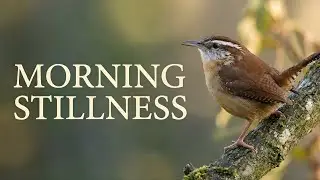 Fall Birdsong ASMR &bull; Calm Garden Ambience