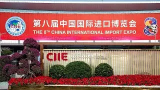 Выставка CIIE-2025: новые горизонты открытости и сотрудничества