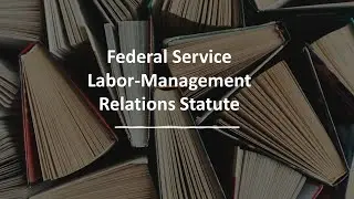 Federal Service Labor Management Relations Statute/Title VII of the Civil Service Reform Act