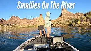We caught how many fish on the Colorado River?